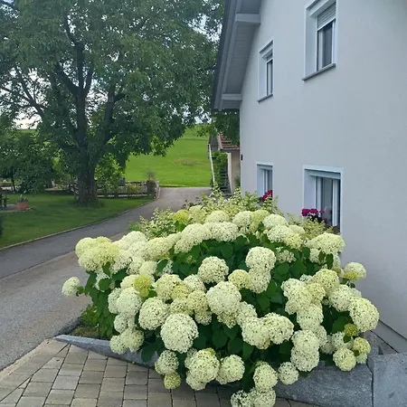 Eichberger *