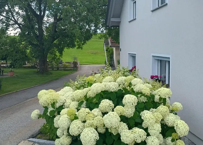 Eichberger *